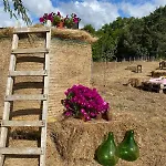 Azienda Agricola Veldidonna