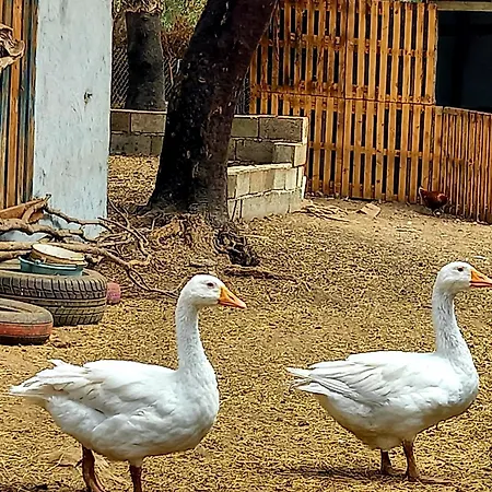 Luxusní stan Azienda Agricola Veldidonna