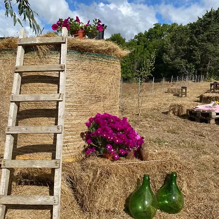Azienda Agricola Veldidonna