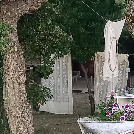 Luxury tent Azienda Agricola Veldidonna Aggius