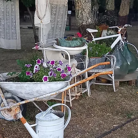 Azienda Agricola Veldidonna Luxury tent