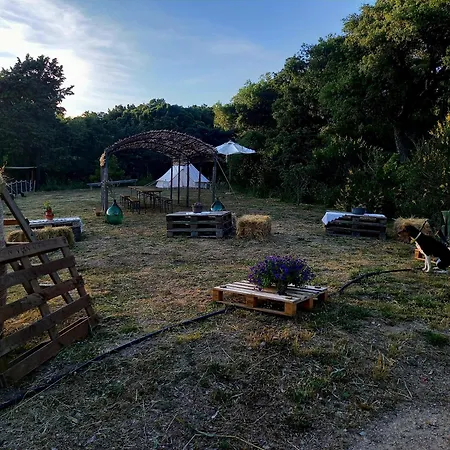 Azienda Agricola Veldidonna *