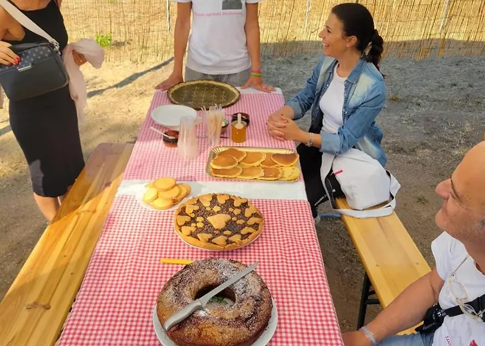 Azienda Agricola Veldidonna Aggius