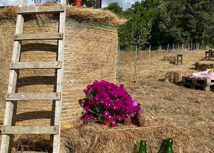 Azienda Agricola Veldidonna